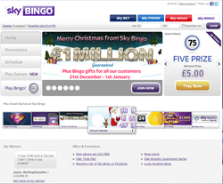 Get 10 Off W Sky Bingo Promo Code Coupon Fyvor - bingo roblox code