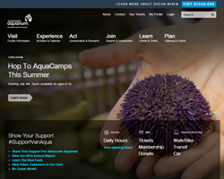 50 Off Vancouver Aquarium Coupons Promo Codes October 2020 - roblox new promo codes 2019 june dealsaver promo code