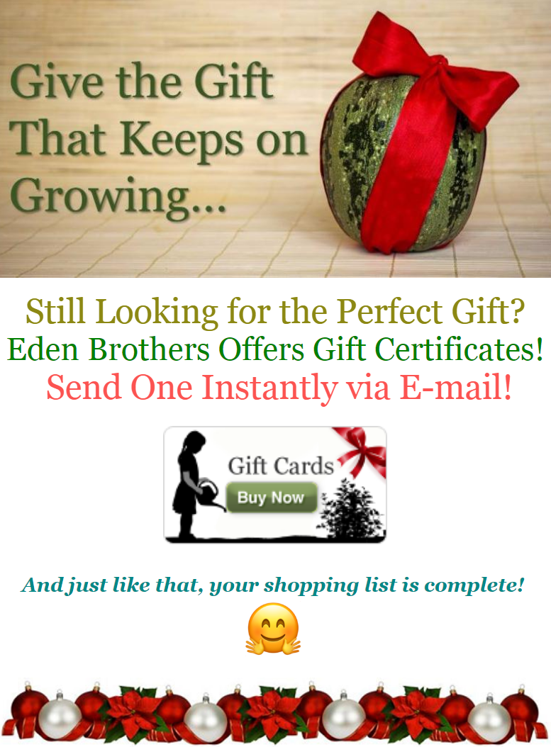 Verified Eden Brothers Coupons Promo Codes 18 Off April 2020